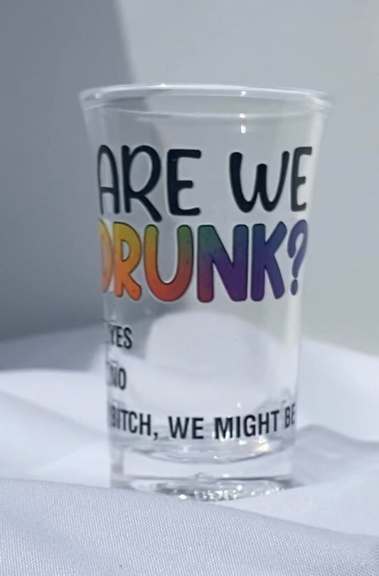 1.2 oz Acrylic Shot Glasses - Are We Drunk